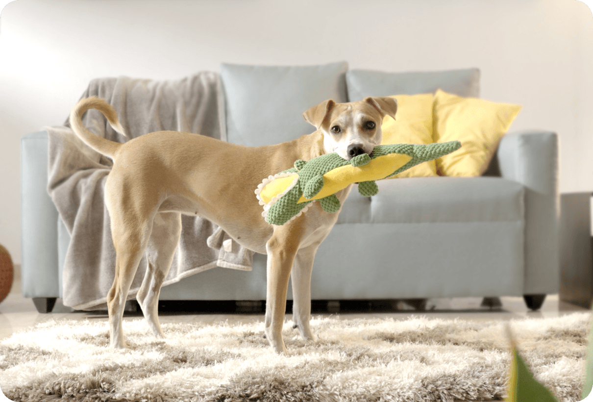 Barkbutler
